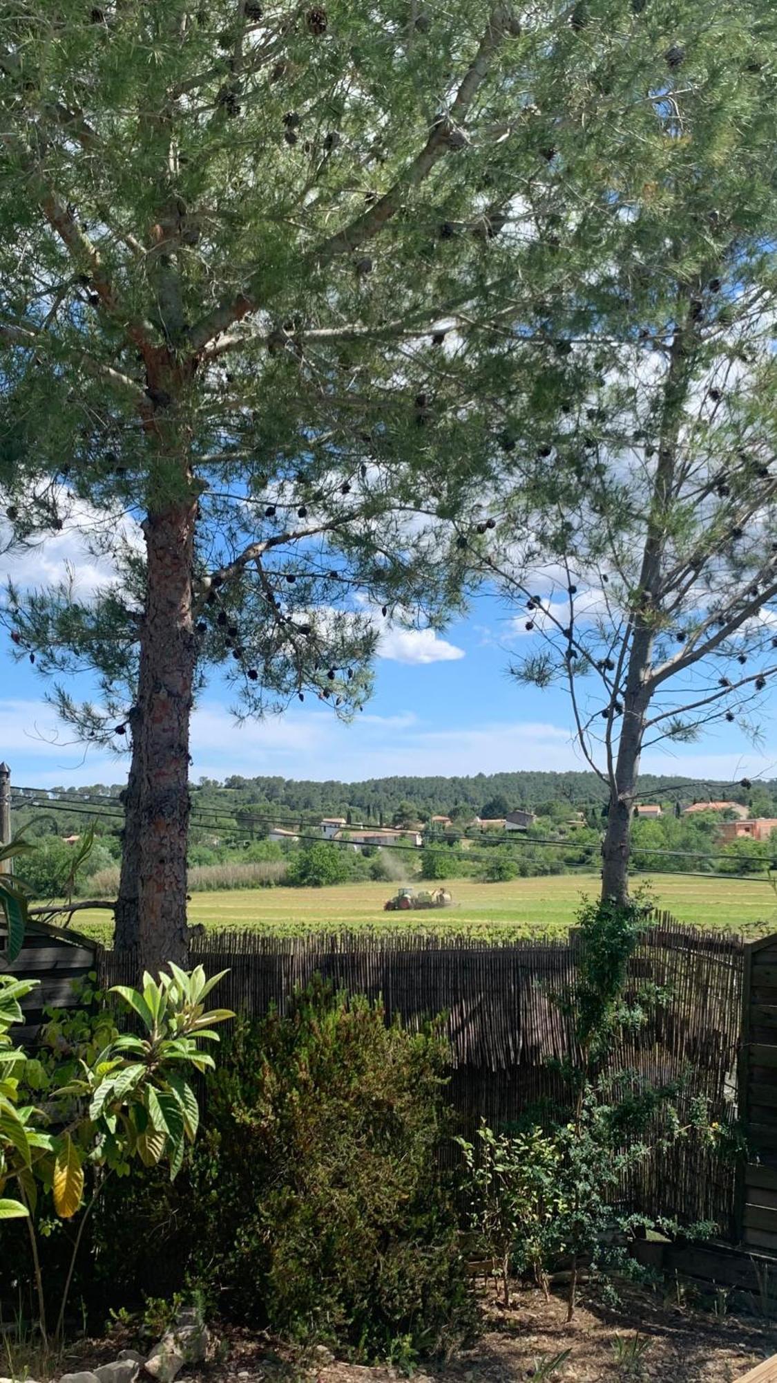 Villa En Bordure De Colline*Piscine*Clim*Netflix Les Matelles Kültér fotó